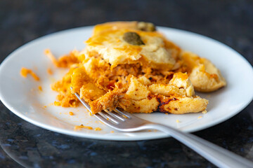 Traditional chicken pie with typical Brazilian catupiry. Empadão de frango