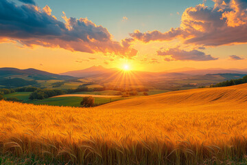 Obraz premium A beautiful sunset over a field of golden wheat