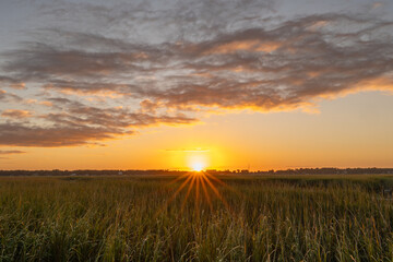 Sunset over the marsh