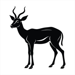 Fototapeta premium Gazelle silhouette vector