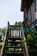 Wooden staircase leading to a treehouse