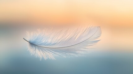 A Single White Feather Floating Against a Softly Blending Background of Peach and Blue
