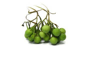 A cluster of small, round, green fruits, commonly known as turkey berries or mini-eggplants, is shown against a white background.