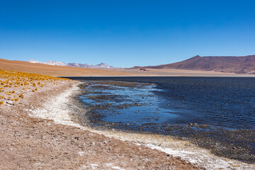 Laguna Negra no Deserto do Atacama: Beleza Natural e Paisagem Vulcânica