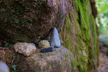 Close-up photo of a pebble in a rock crevice with moss