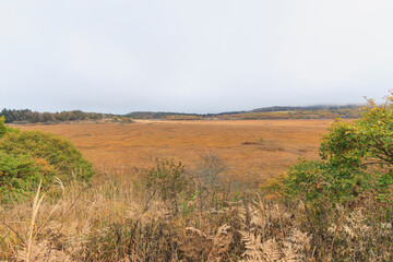 八島ヶ原湿原　霧ヶ峰　諏訪　長野県