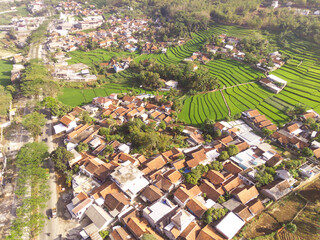 Aerial View of Lush Green Fields and hillside. Rice terrace area, beautiful scenery, top view. Panoramic and scenic Indonesian Landscape. Agriculture and Farm Industry