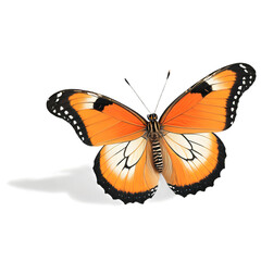 Fototapeta premium Stunning Monarch Butterfly in Vibrant Colors Captured in Detail Showcasing Nature's Intricate Beauty and Delicate Wing Patterns