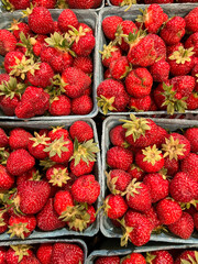 strawberries at the market