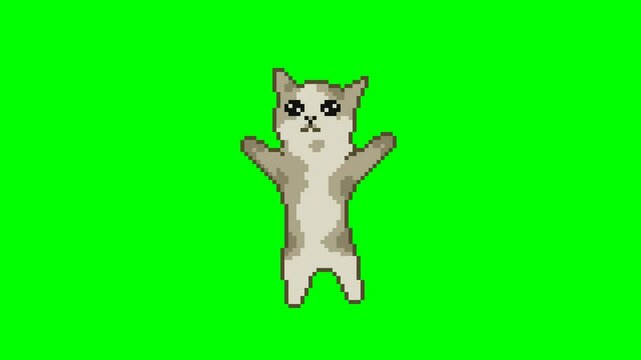 Jumping cat, pixel art meme animation