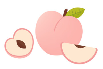 Peach fruit vector illustration. Peach icon.