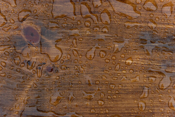 Close up of a stained and sealed waterproof wooden board covered in water drops