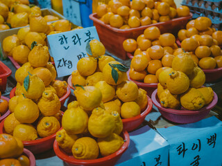 제주 표선읍 5일시장 한라봉