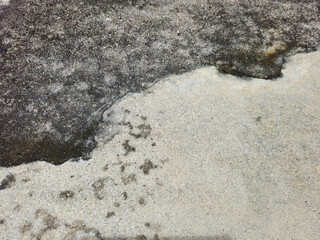 Section of the dirty concrete floor covered with mold.