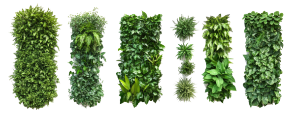  Set of green garden walls from tropical plants