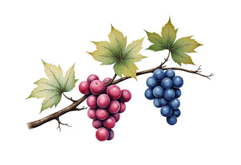 Obraz premium Japanese Woodblock Print Inspired Watercolor of Grape Leaves: Detailed Veins and Textured Leaves in Contrasting Colors 