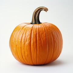 Obraz premium A pumpkin with stem in the center.