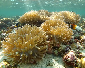 Naklejka premium Underwater scene showcasing vibrant coral anemones with soft, flowing tentacles, illuminated by sunlight filtering through the water.