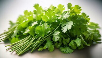 Fototapeta premium Vibrant Cilantro Leaves A Fresh Herb for Garnishing and Flavoring Dishes 