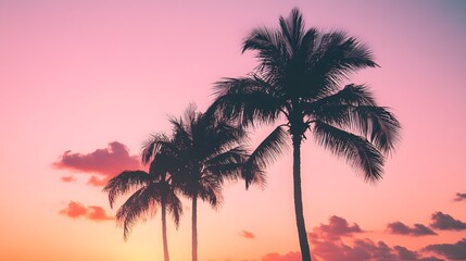 Tropical Sunset with Silhouetted Palm Trees