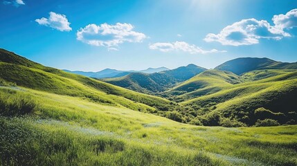 Obraz premium Serene Landscape of Rolling Green Hills