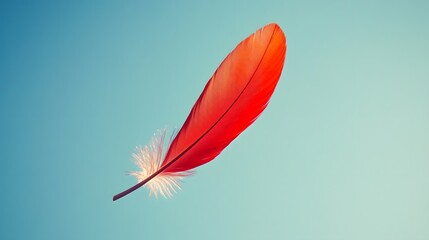 red   feather