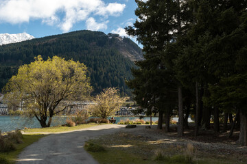The Calmness of a Forest Trail