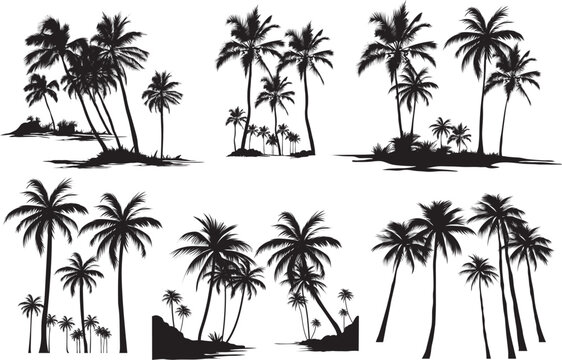 Palm tree Premium vector Collection Silhouette illustrations 