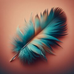 Obraz premium Isolated feather in studio backgrounds