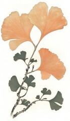 A delicate ginkgo leaf flower illustration in PNG format, influenced by classic Japanese woodblock artistry.