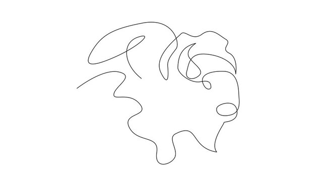 Bison line continuous single line simple illustration art