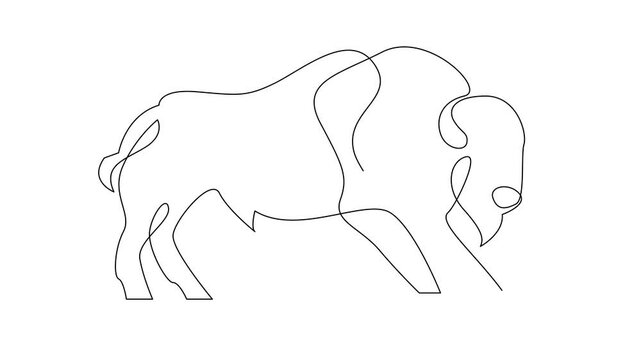 Bison line continuous single line simple illustration art