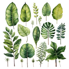 Tropical Foliage: A Lush Botanical Collection