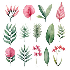 Vibrant Tropical Leaves and Floral Elements