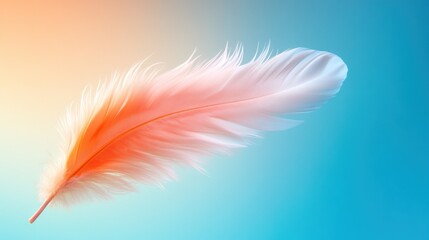 Fototapeta premium A delicate feather in soft pastel colors capturing the essence of lightness and grace in nature's beauty