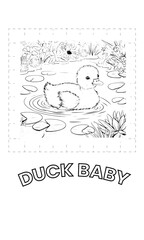 Quack & Color: An Adorable Duck Coloring Book for Relaxation & Education