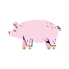 Pig vector image icon with white background