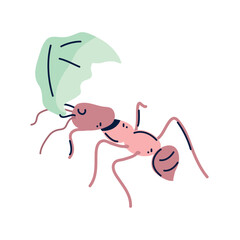 Obraz premium Vector image of ant icon with white background