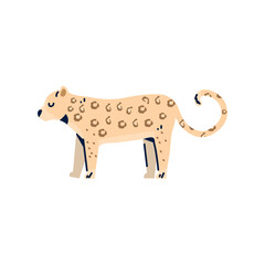 Tiger icon vector image with a white background