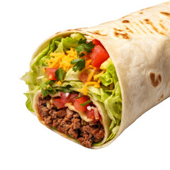 Delicious Burrito Wrap with Tasty Filling