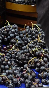 We have Fresh Black Grapes Bunches Available and Ready for Sale to satisfy your cravings