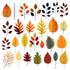 Fototapeta premium Autumn Leaves Collection: Vibrant Natural Elements for Graphic Design