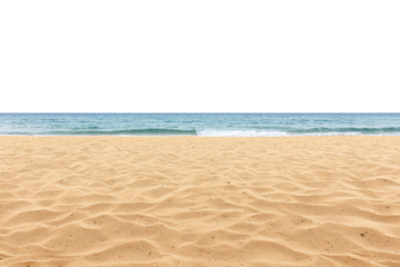 Sandy Beach Serenity isolated on transparent background