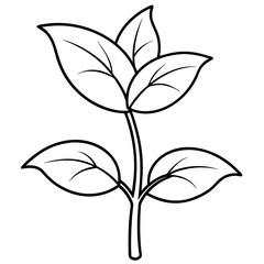 Line art of a seeding plant.  Seeding plant outline design for coloring page
