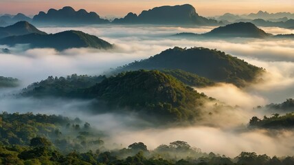 fog over the mountains