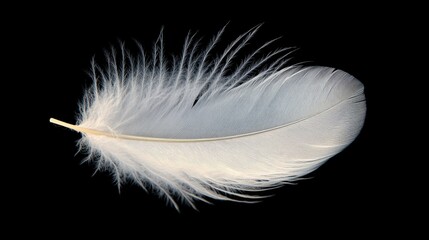 Obraz premium Close-up of a single white feather drifting, showing fine details and a soft glow.
