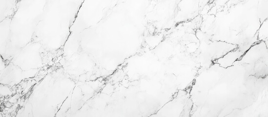 Fototapeta premium White marble texture with fine black veins and clean abstract patterns