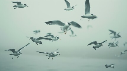 A flock of seagulls flying in the sky