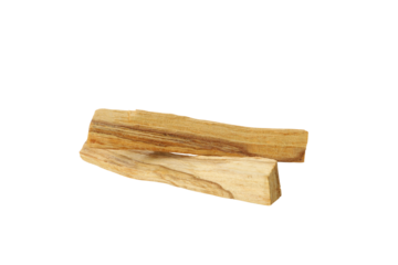 PNG, sacred palo santo tree, isolated on white background.