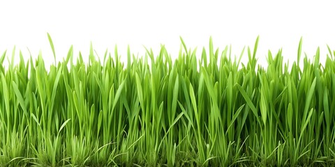 Silver Combination Wrench with Open End and Box End